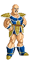 Nappa by Team OS